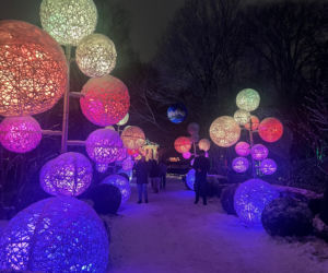 MagicznyBotaniczny 2025/2026 w Warszawie