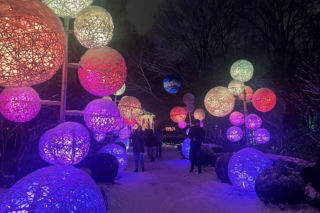 MagicznyBotaniczny 2025/2026 w Warszawie