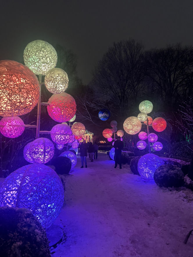 MagicznyBotaniczny 2025/2026 w Warszawie