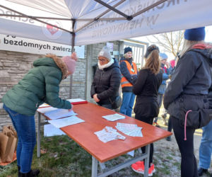 Bieg + 4 Łapy za nami. Wyjątkowy dzień w schronisku w Henrykowie koło Leszna