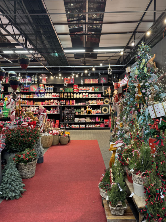 Miasteczko Świąteczne we Flora Point (2024)