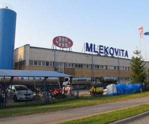 Mlekovita
