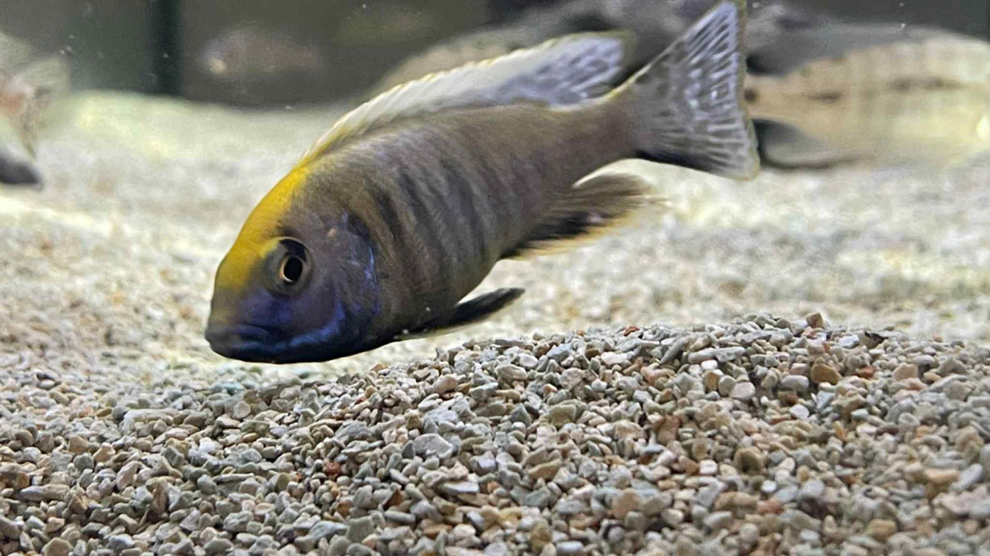 Rozmawiamy z Tomaszem Wiśniewskim, założycielem Aqua Dreams Bydgoszcz