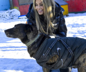 Małgorzata Rozenek-Majdan odwiedziła schronisko w Łodzi