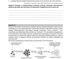 Matura próbna 2021: Biologia poziom rozszerzony. Arkusze CKE sprawdzisz TUTAJ