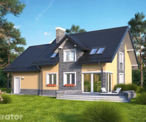 Projekt C338a Śródleśny - wariant I (podpiwniczony)