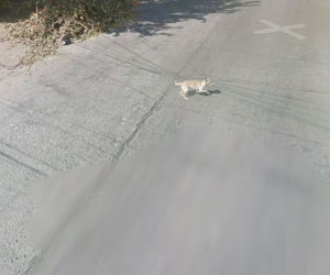 zdjęcia Google Street View