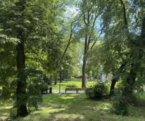 Park Bronowicki znów otwarty. Zabytkowa perełka Lublina odzyskała dawny blask