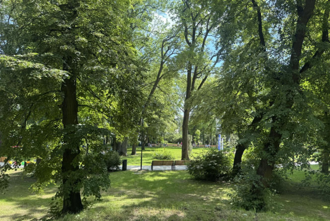 Park Bronowicki znów otwarty. Zabytkowa perełka Lublina odzyskała dawny blask