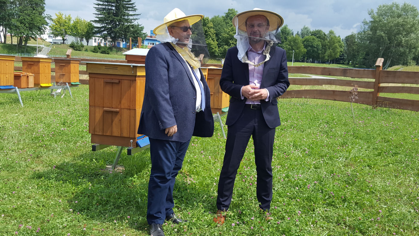 Już ponad pół miliona pszczół w miejskiej pasiece na Zwięczycy! Za nami pierwsze miodobrania
