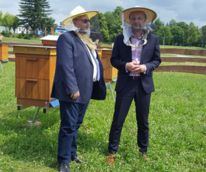 Już ponad pół miliona pszczół w miejskiej pasiece na Zwięczycy! Za nami pierwsze miodobrania
