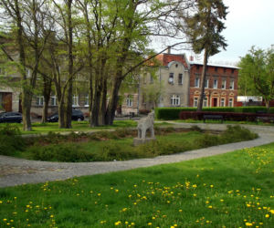 Pomnik słonia w Szczecinie