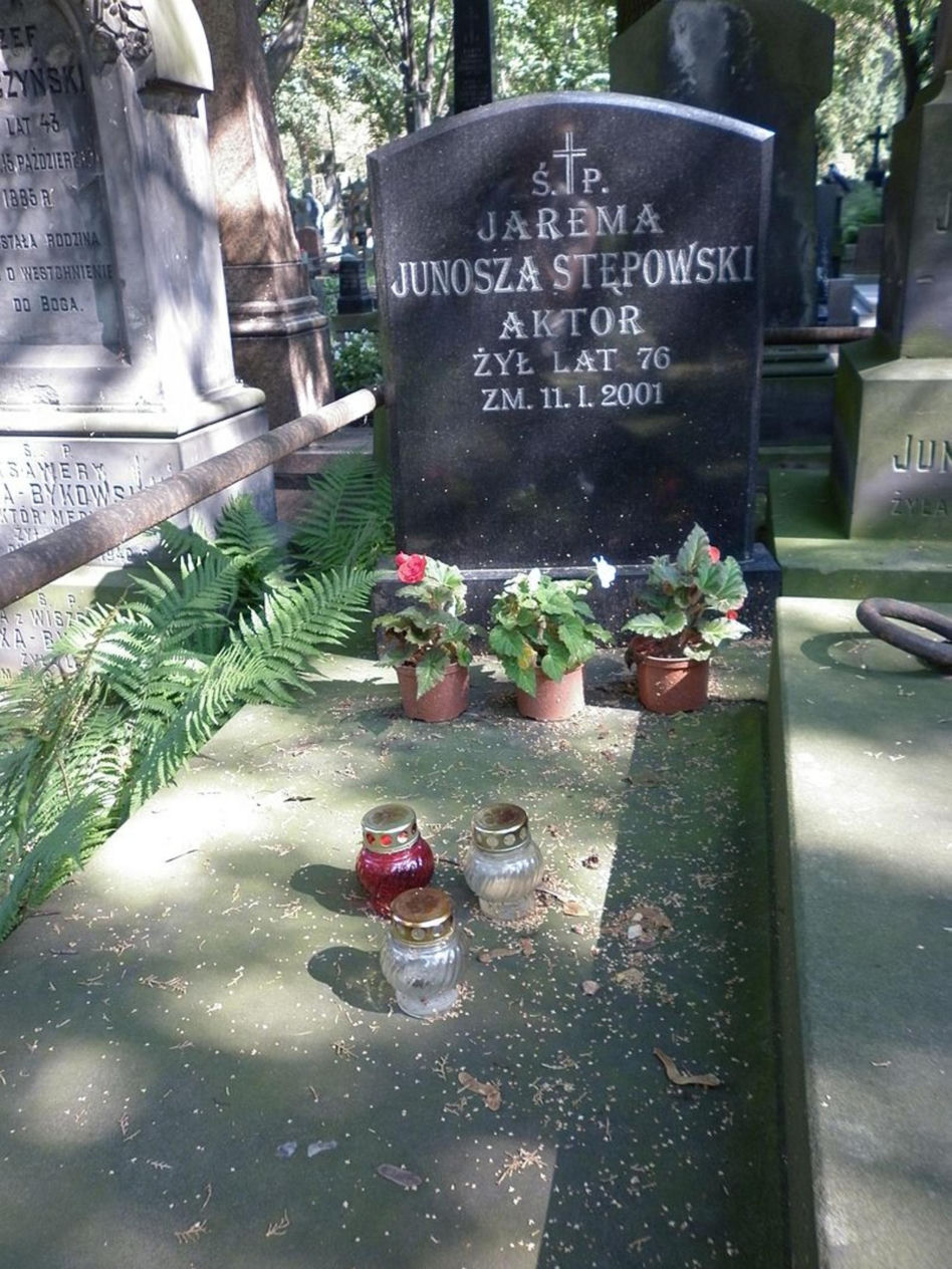 Jarema Stępowski był wybitnym aktorem To on "zbierał suchy chleb dla konia"