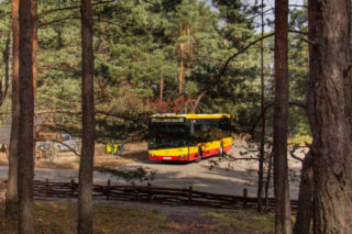 Te autobusy pojadą tylko w weekendy i święta. Zabiorą pasażerów do Palmir