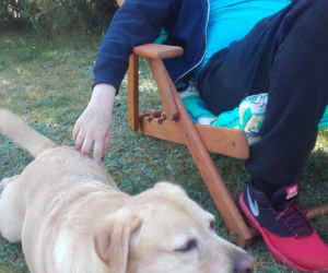 POTRZEBUJE OLEJU Z MARIHUANY
