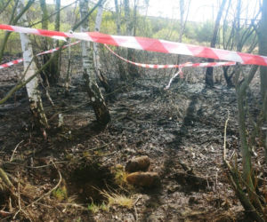 Pożar ujawnił groźne niewybuchy! Na miejsce wezwano saperów [ZDJĘCIA] 