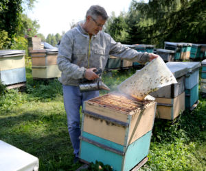 Mój miód kładzie na kolana