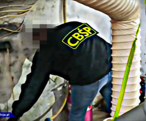Laboratorium metamfetaminy ukryte pod kojcem dla psów