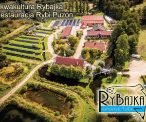 Odkryj smak zdrowia! Odwiedź RYBAJKĘ w nowym miejscu w Pile i w sklepie firmowym w Tarnowie!