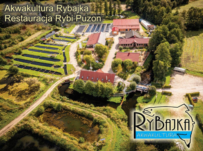 Odkryj smak zdrowia! Odwiedź RYBAJKĘ w nowym miejscu w Pile i w sklepie firmowym w Tarnowie!