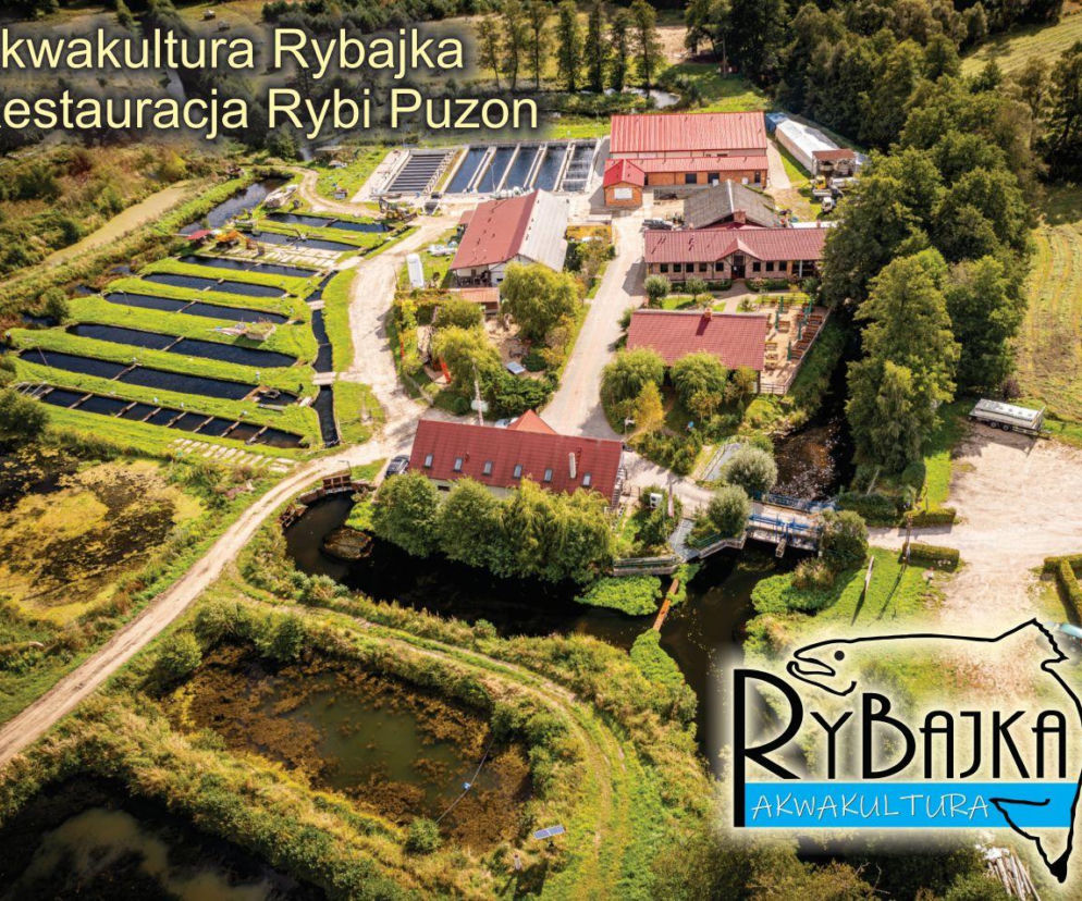 Odkryj smak zdrowia! Odwiedź RYBAJKĘ w nowym miejscu w Pile i w sklepie firmowym w Tarnowie!