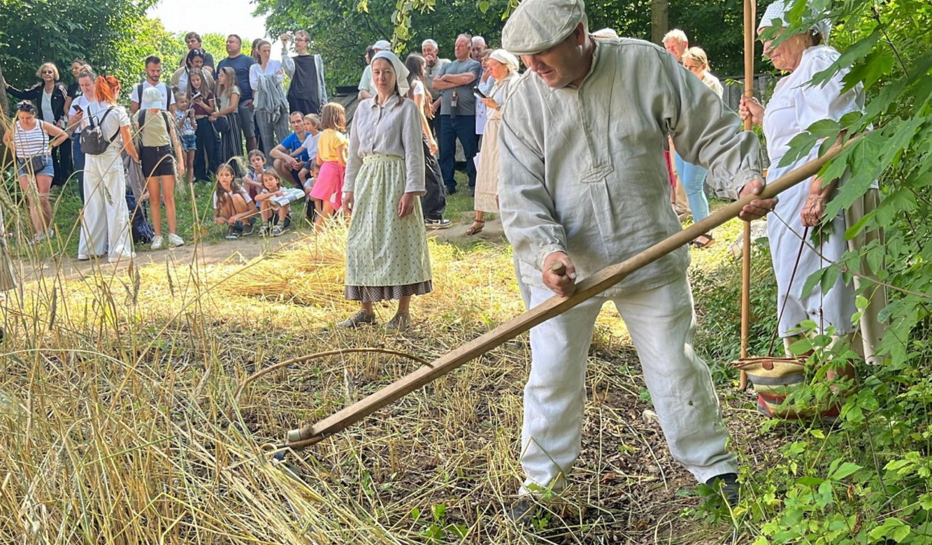 W Skansenie odbyły się retro żniwa, żęto żyto metodami pradziadków