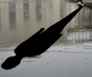 Emilia z Włodawy. Prokuratura ujawnia kluczowe wyniki sekcji zwłok?