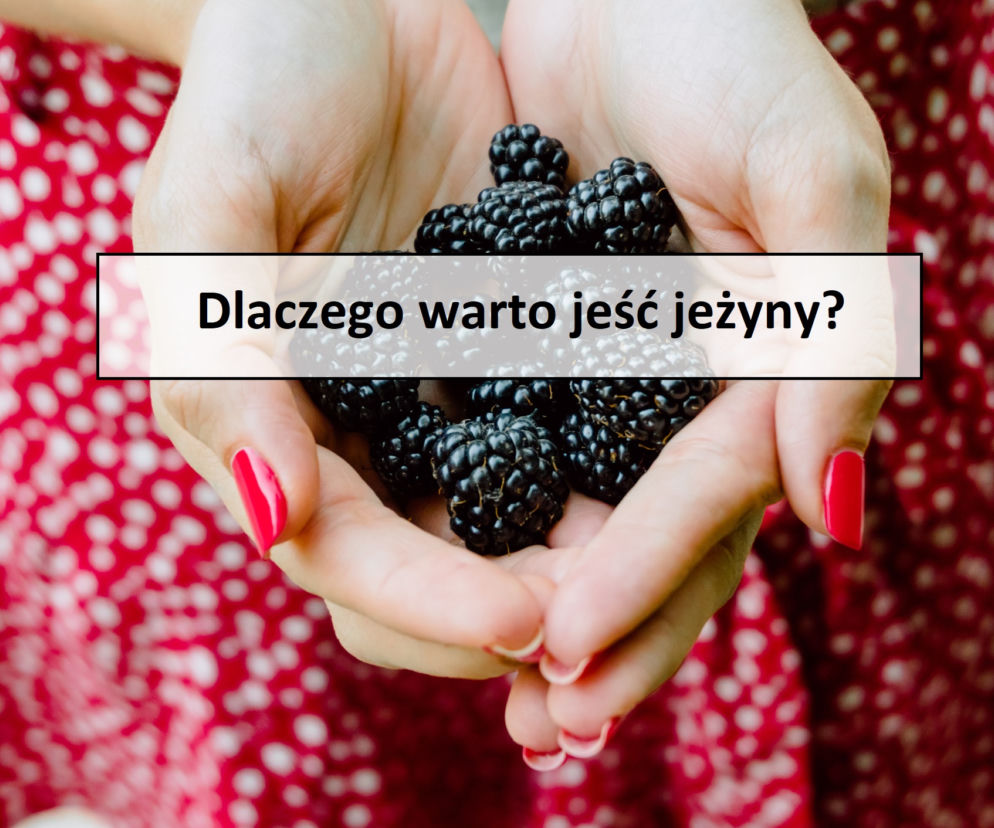 Jeżyny