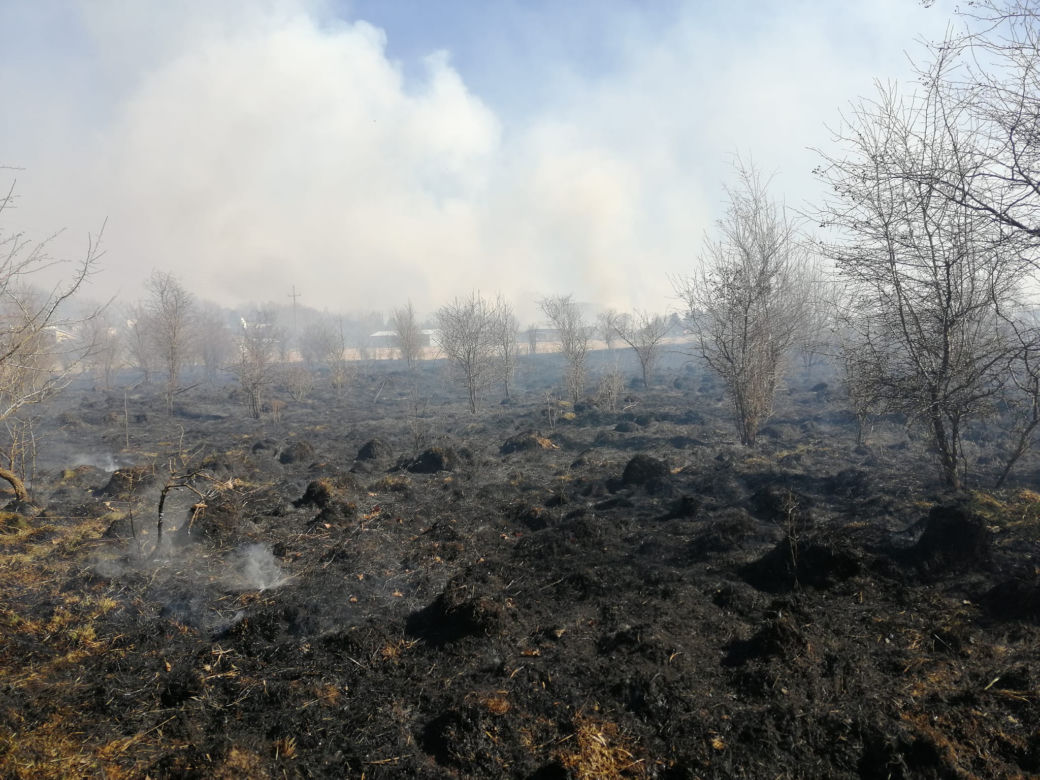 Spłonęły 34 hektary! 150 strażaków gasiło pożar traw w Brodach