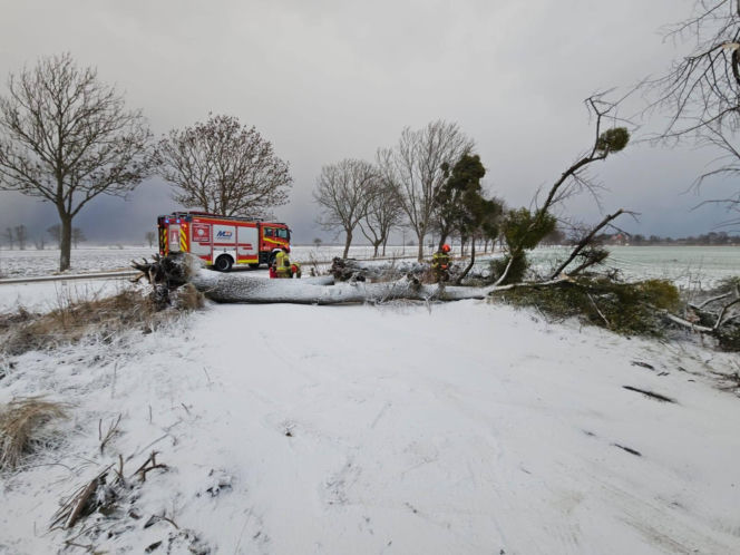 Wichura zniszczyła zabytkową kapliczkę przy sanktuarium