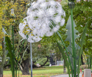 Iluminacja w Parku Świętokrzyskim. Wygląda pięknie