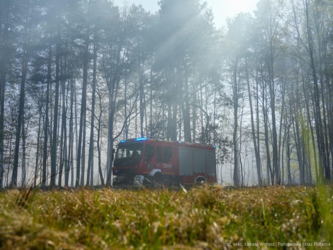 Do akcji ruszyły śmigłowce i samoloty. Gigantyczny pożar lasu pod Częstochową.