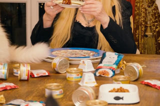 Maryla Rodowicz - koty nie przejedzą emerytury gwiazdy