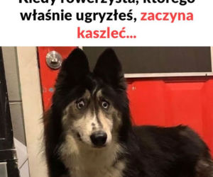 Memy o koronawirusie