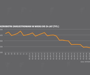 PORTFEL STUDENTA bezrobotni zarejestrowani
