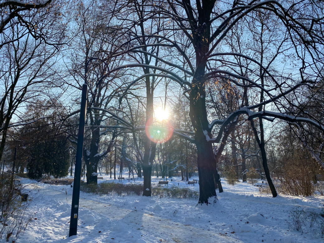 Śnieżna zima w Parku Praskim