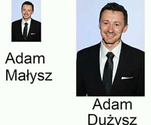 Memy Adam Małysz
