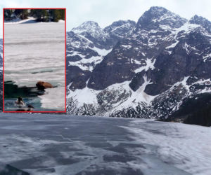 Przyrodnicza sensacja w Tatrach! To pierwsze takie nagranie wideo