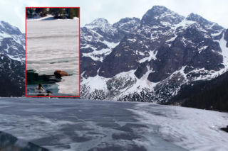 Niezwykły gość przyłapany nad Morskim Okiem. Do sieci trafiło wyjątkowe nagranie z Tatr