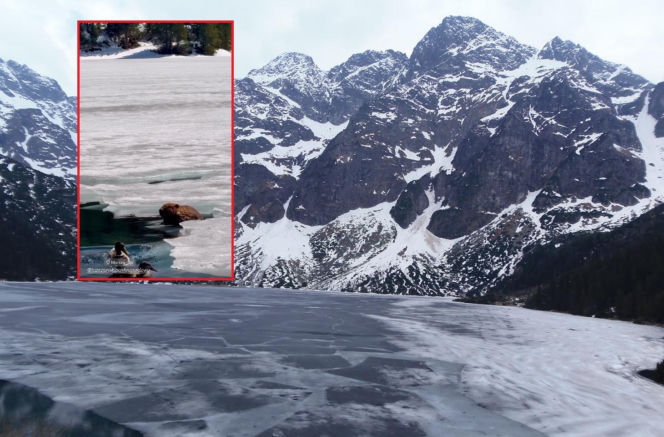 Niezwykły gość przyłapany nad Morskim Okiem. Do sieci trafiło wyjątkowe nagranie z Tatr