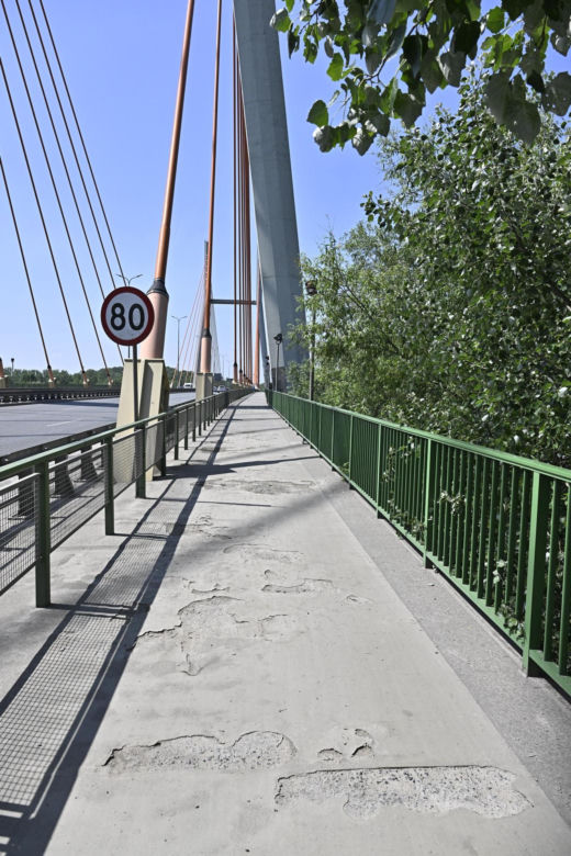 Na tej ścieżce można wybić zęby! Rowerzyści od lat błagają o remont, a urząd zasłania się brakiem środków