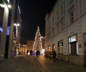 Bydgoszcz w świątecznej odsłonie zachwyca! Tu jest MAGICZNIE! [ZDJĘCIA]
