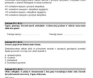 Matura biologia18