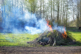 Zakaz palenia gałęzi w 2026. Nawet 5000 zł kary – wielu właścicieli działek wciąż o tym nie wie
