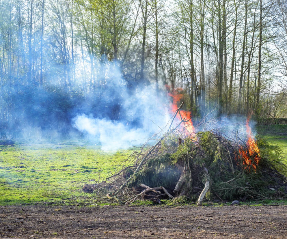 Palenie gałęzi na działce jest zakazane, ale jest jeden wyjątek