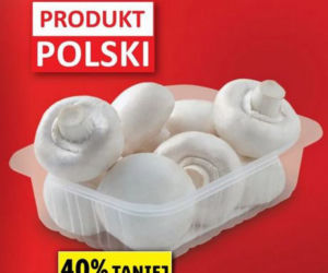 Super promocje w LIDL 
