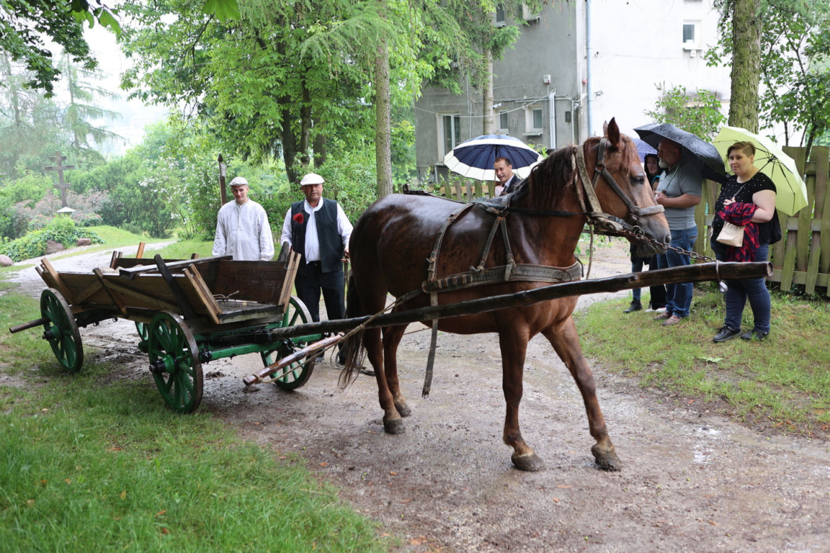 Jarmark koński w Muzeum Wsi Lubelskiej