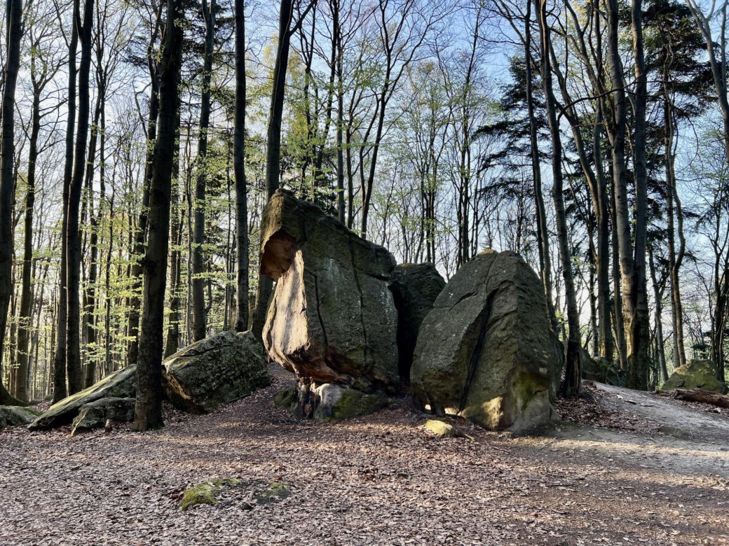 Świętokrzyskie. Bukowa Góra