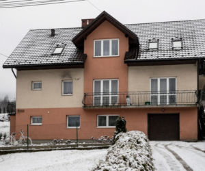 Zleciła zabójstwo dwóch swoich psów.  Została skazana przez sąd