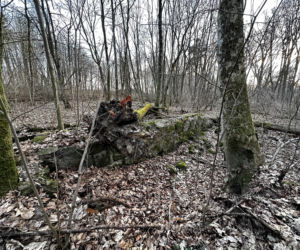 Rzeźba warta fortunę znaleziona w domu celebrytki? Nowe ustalenia po ćwierć wieku